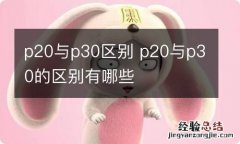 p20与p30区别 p20与p30的区别有哪些