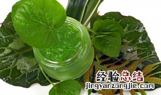 涂抹芦荟胶之前可以涂爽肤水吗 用芦荟胶前可以涂爽肤水吗