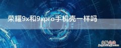 荣耀9x和9xpro手机壳一样吗