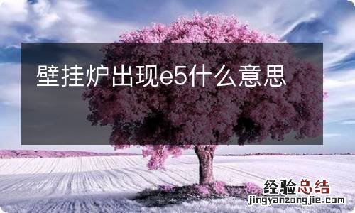 壁挂炉出现e5什么意思