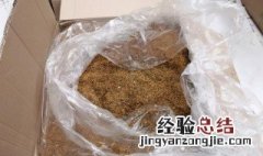 烟丝泡水浇花可杀虫吗 烟丝泡水浇花是否可杀虫