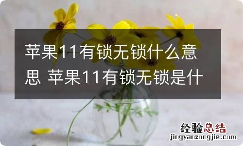 苹果11有锁无锁什么意思 苹果11有锁无锁是什么意思