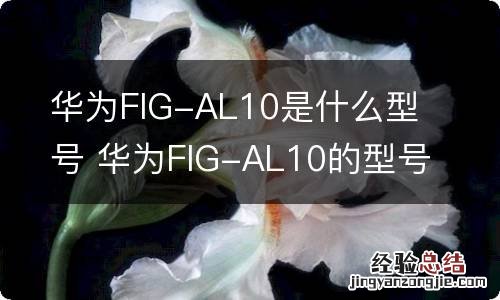 华为FlG-AL10是什么型号 华为FlG-AL10的型号是什么