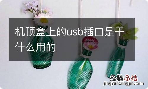 机顶盒上的usb插口是干什么用的