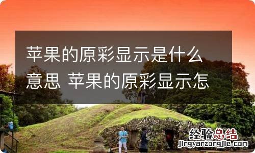 苹果的原彩显示是什么意思 苹果的原彩显示怎么设置