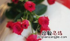 25朵玫瑰花代表什么意思 25朵玫瑰花寓意