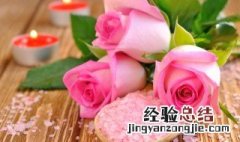 11朵粉色玫瑰花代表什么意思 11朵粉色玫瑰花代表意思介绍