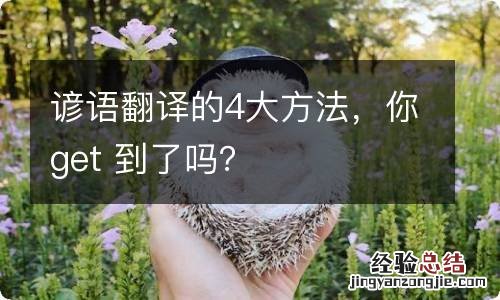 谚语翻译的4大方法，你get 到了吗？