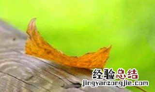 全球变暖的危害有哪些 全球变暖的危害介绍