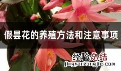 假昙花的养殖方法是什么 假昙花的养殖方法介绍