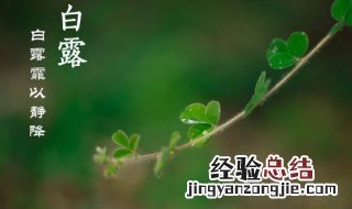 白露还热不热 白露的天气怎么样