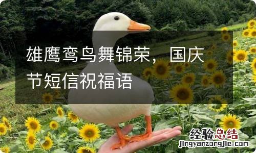 雄鹰鸾鸟舞锦荣,国庆节短信祝福语
