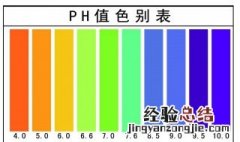 用什么除碱最好 碱性的定义