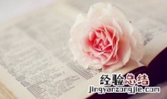 激励每天正能量的句子 适合每日激励正能量的句子