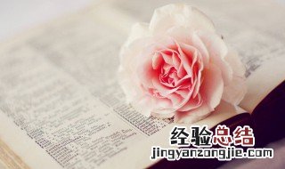 激励每天正能量的句子 适合每日激励正能量的句子