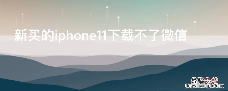 新买的iPhone11下载不了微信