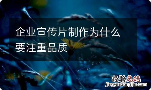 企业宣传片制作为什么要注重品质