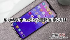 华为畅享9plus怎么设置微信指纹支付