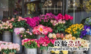 各种花的含义及各种花的花语 花语简介