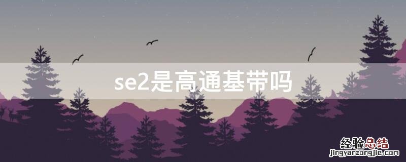 se2是高通基带吗
