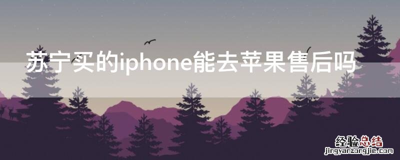 苏宁买的iPhone能去iPhone售后吗