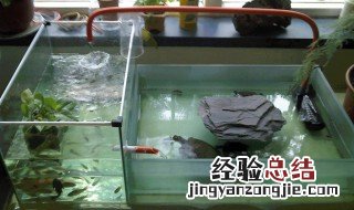 怎么做塑料龟缸 塑料龟缸 手工diy