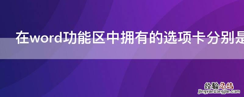 在word功能区中拥有的选项卡分别是什么