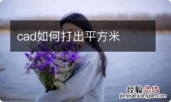 cad如何打出平方米