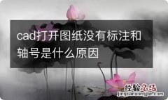 cad打开图纸没有标注和轴号是什么原因