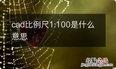 cad比例尺1:100是什么意思