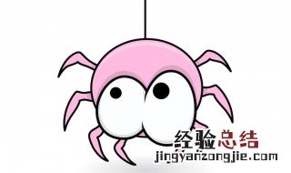 蜘蛛冬眠吗 哪种蜘蛛会冬眠
