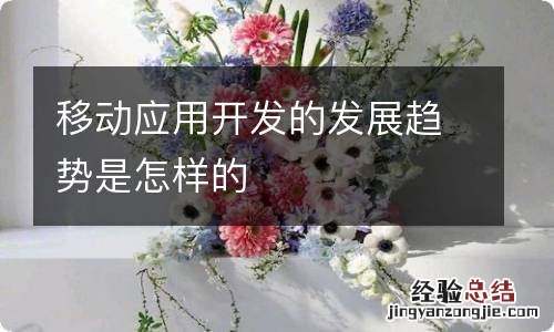 移动应用开发的发展趋势是怎样的