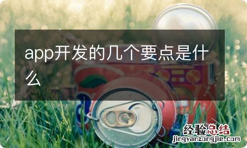 app开发的几个要点是什么
