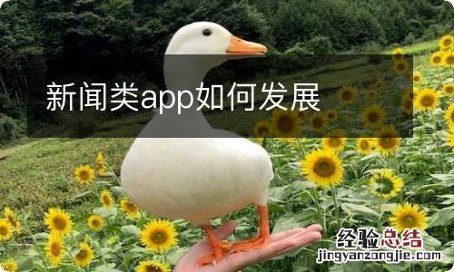 新闻类app如何发展