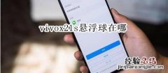 vivox21s悬浮球在哪