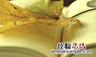 送给陌生人暖心的短句 送给陌生人暖心的句子合集
