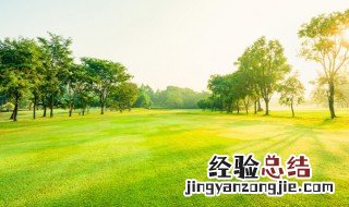 草的诗句 描写草的诗句