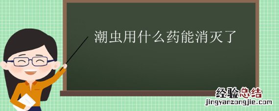 潮虫用什么药能消灭了 治潮虫用什么办法能把它给消灭掉