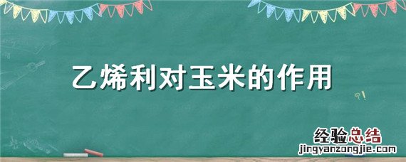 乙烯利对玉米的作用与功效 乙烯利对玉米的作用