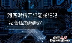 到底喝猪苦胆能减肥吗 猪苦胆能喝吗?