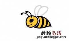 马蜂窝的功效与作用及禁忌 马蜂窝的功效与作用