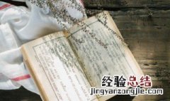 充组词 充组词100个