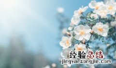 最唯美的诗句春天 优美的春天诗句