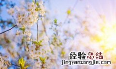 日的诗句 描写日的完美诗句