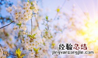 日的诗句 描写日的完美诗句
