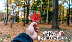 描写秋天的优美诗句 表达秋天的唯美诗句