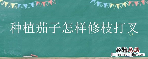 种植茄子怎样修枝打叉视频 种植茄子怎样修枝打叉