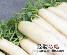 白萝卜不宜与7种食物一起吃 白萝卜不能和什么一起吃