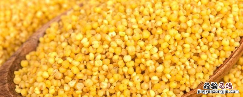 小米算不算粗粮呢 小米算不算粗粮