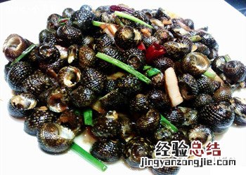 芝麻螺的营养价值 芝麻螺的营养价值及功效